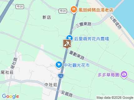 路況地圖