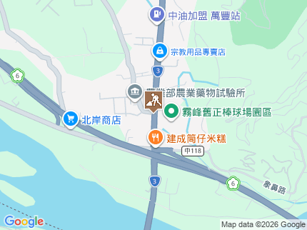 路況地圖