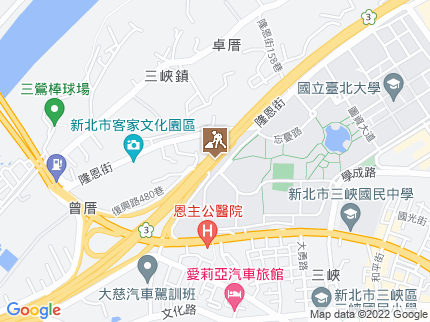 路況地圖