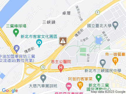 路況地圖