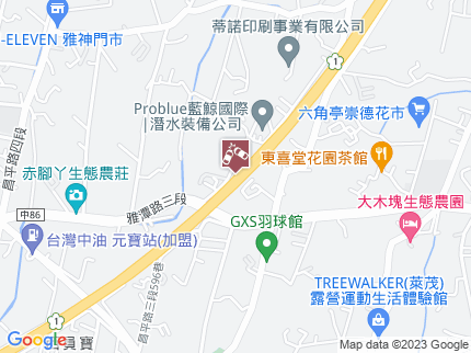 路況地圖