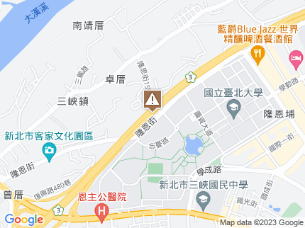 路況地圖