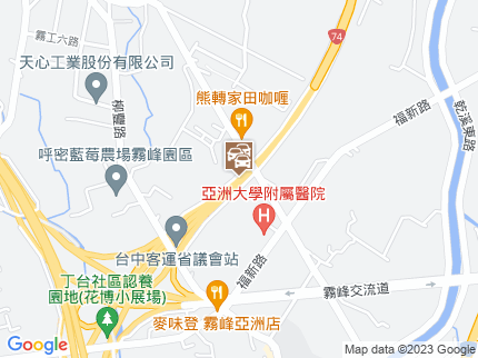 路況地圖