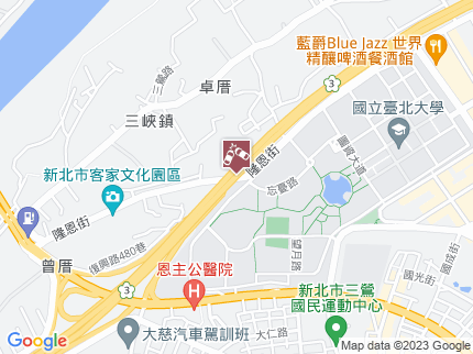 路況地圖