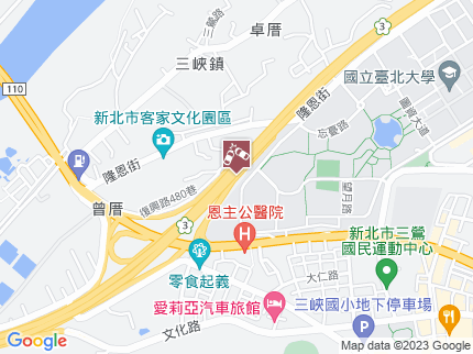 路況地圖