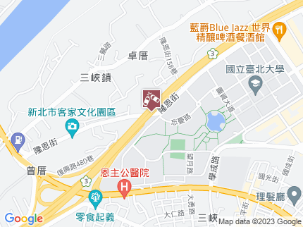 路況地圖