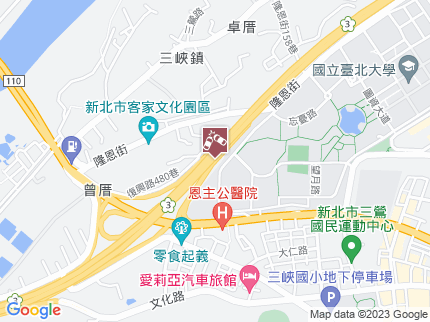 路況地圖