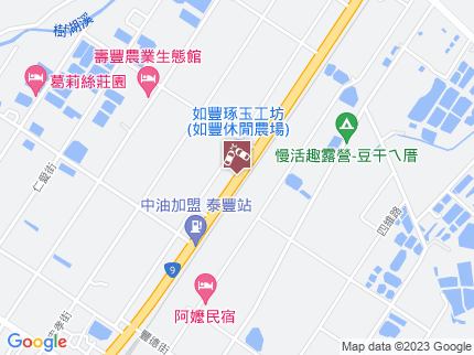 路況地圖