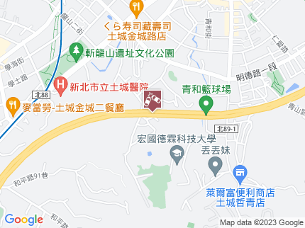 路況地圖