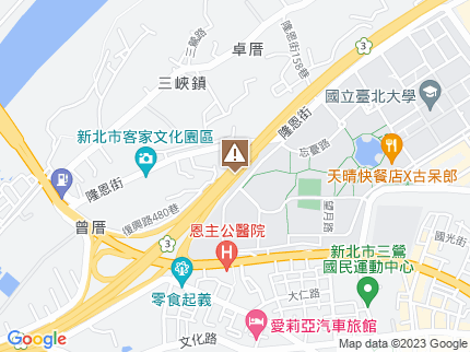 路況地圖