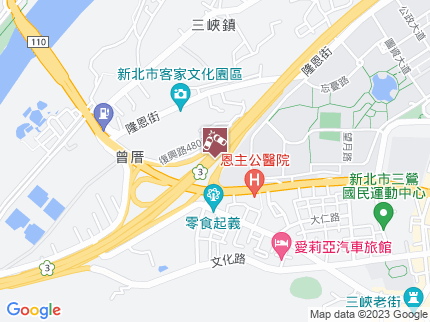 路況地圖