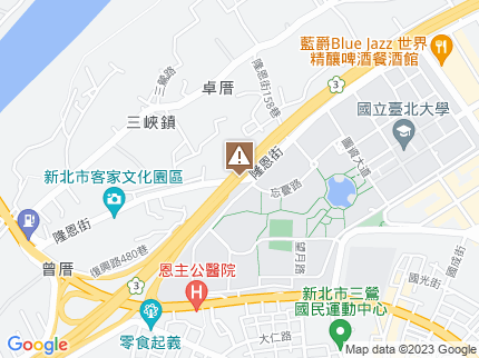 路況地圖