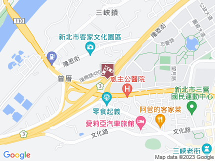 路況地圖