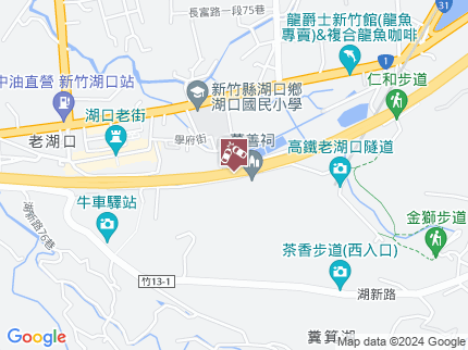 路況地圖