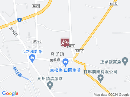 路況地圖