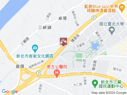 路況地圖