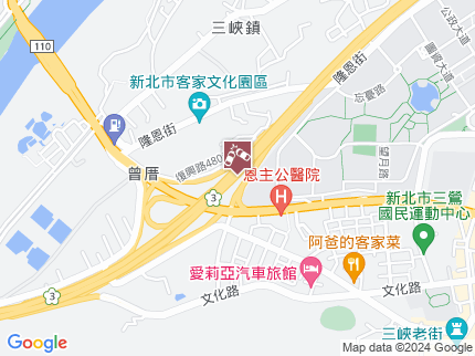 路況地圖