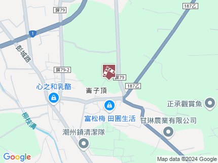 路況地圖