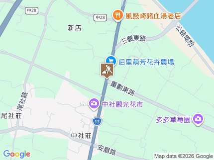 路況地圖