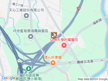 路況地圖