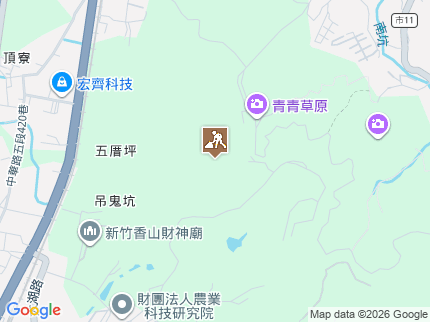 路況地圖