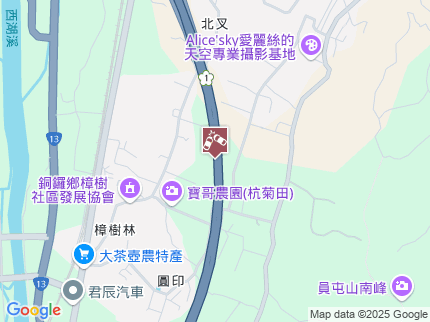 路況地圖