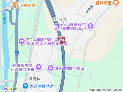 路況地圖