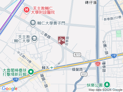 路況地圖
