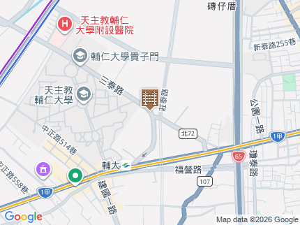 路況地圖