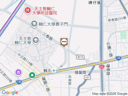 路況地圖